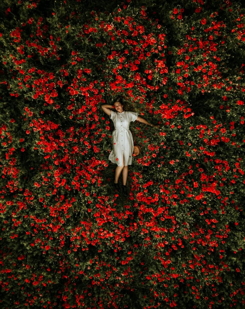 Drohnenaufnahme eines Mädchens im Blumenfeld