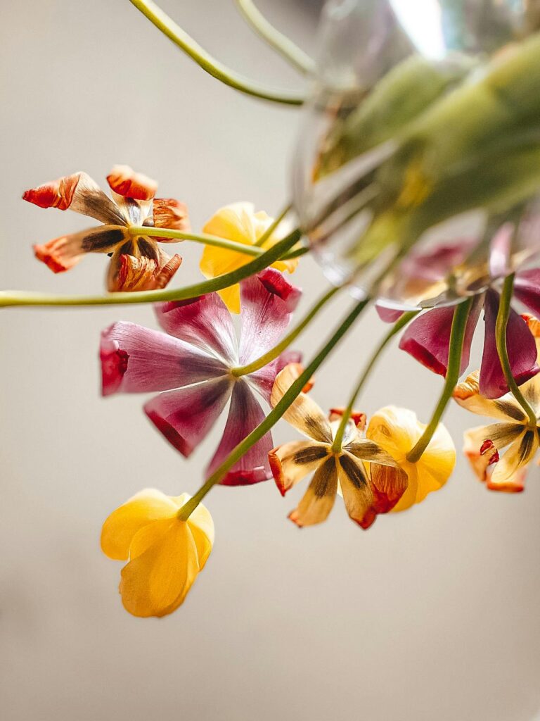 Blumenstrauß in Glasvase, Froschperspektive